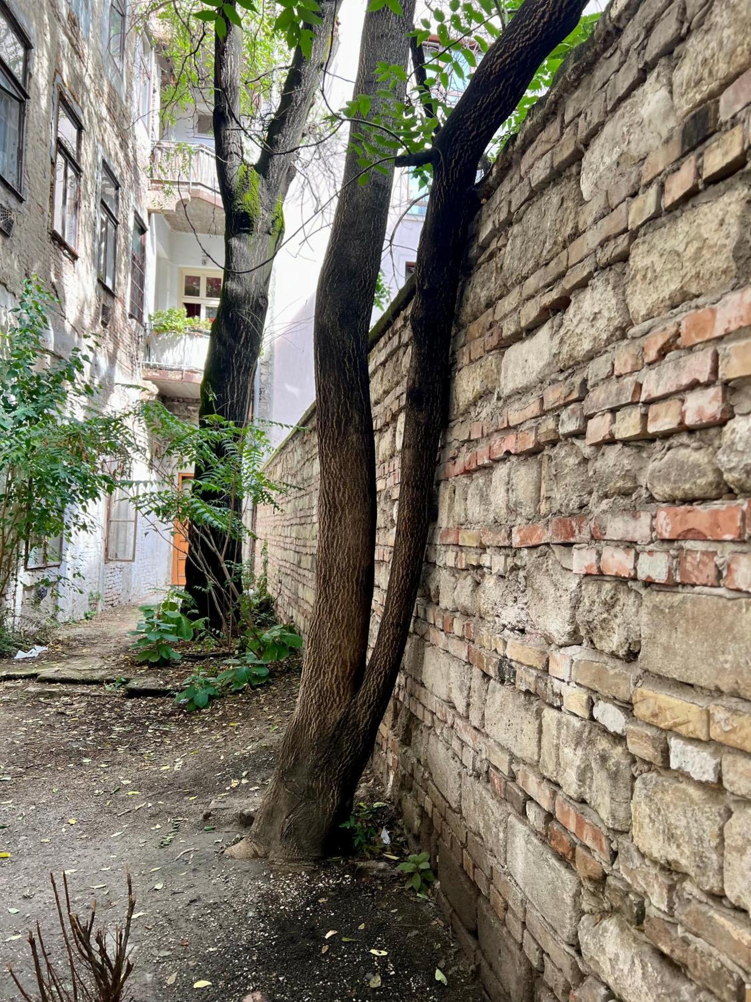 Apartamento Gozsdu Court Bismarck Budapest Exterior foto